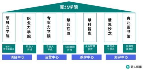 薪人薪事線上沙龍 以數(shù)字化創(chuàng)新技術(shù)為引擎，驅(qū)動(dòng)學(xué)習(xí)型組織構(gòu)建
