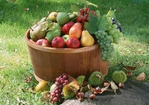 吃水果的正確方式，你真的都知道嗎？